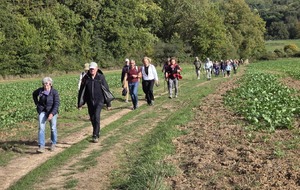 rando GV au château de Villeconin