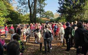 marche octobre rose