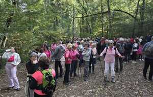 marche octobre rose